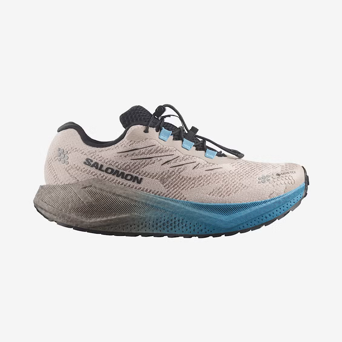 Salomon Blaze Gravel Gtx 