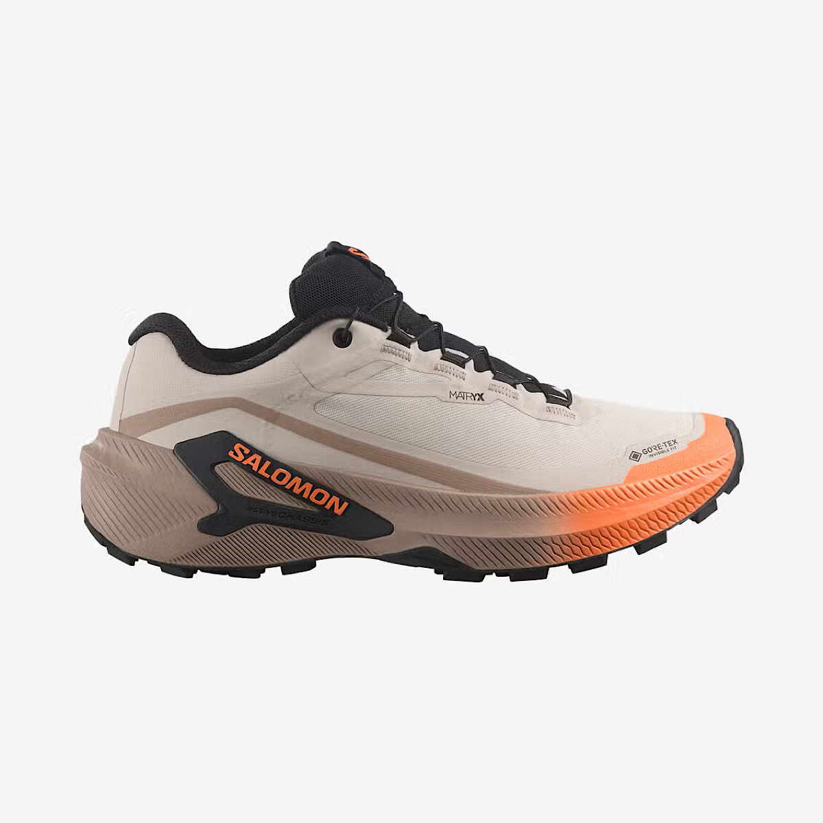 Salomon Genesis Gtx W