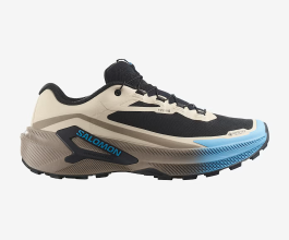 Salomon Genesis Gtx