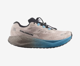 Salomon Blaze Gravel Gtx 