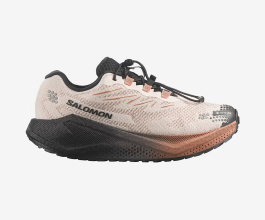 Salomon Blaze Gravel Gtx W