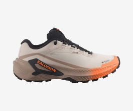 Salomon Genesis Gtx W