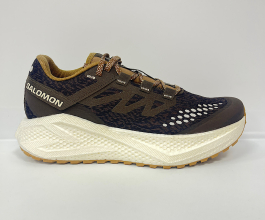 Salomon Aero Glide 3 gravel