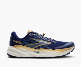 Brooks Cascadia 19