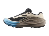 Salomon Genesis Gtx