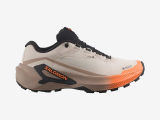 Salomon Genesis Gtx W