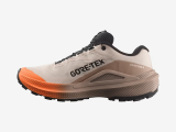 Salomon Genesis Gtx W