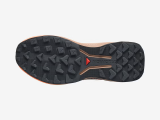 Salomon Genesis Gtx W